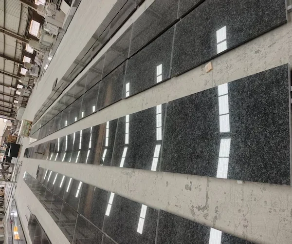 Angola Black Granite tiles arranged for dry-lay review in a supplied factory image