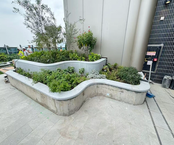 Grey Granite curved coping installed around a landscaped outdoor planter