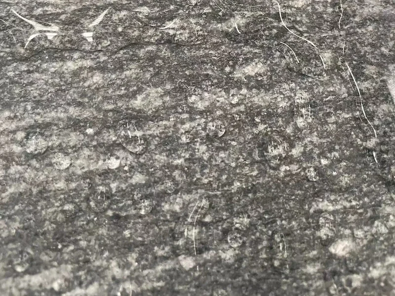 Night Snow Granite surface with dark charcoal colour and pale grey mineral speckles